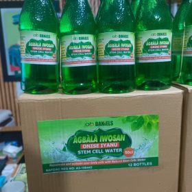 AGBALA IWOSAN ONÍṢẸ́ ÌYÀNÚ STEM CELL WATER (1 carton)